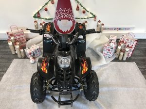 dinosaur electric quad