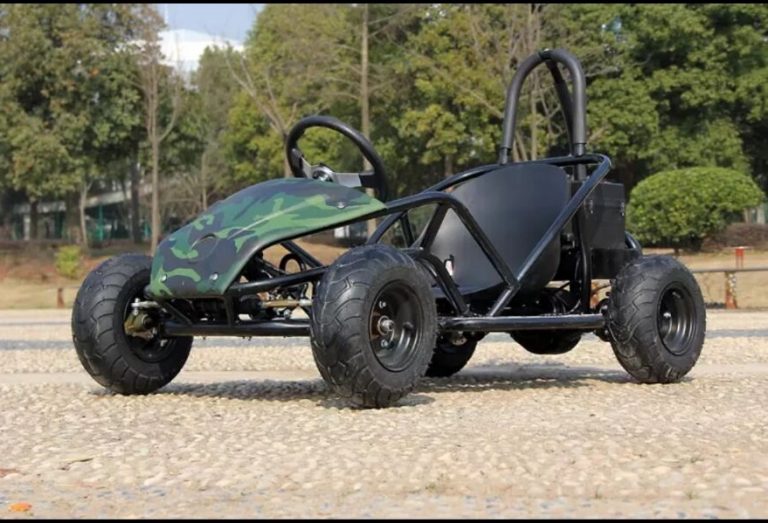 Kart Electrique Adulte