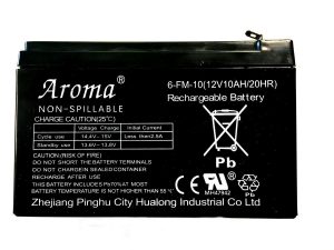 Lot Batterie 12 Volt 10000mAh 10Ah 12V Rechargeable Haute Qualité