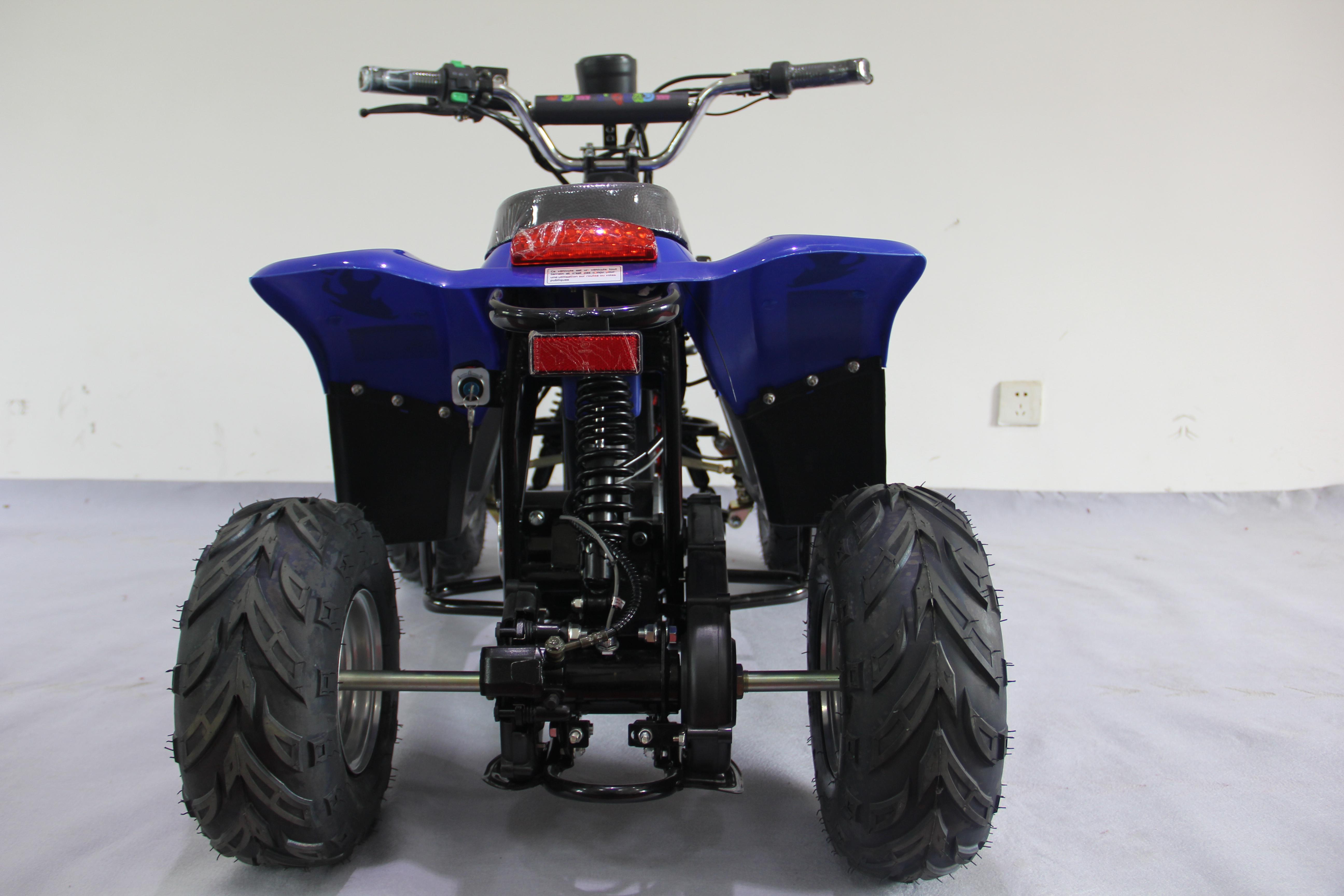 dinosaur electric quad