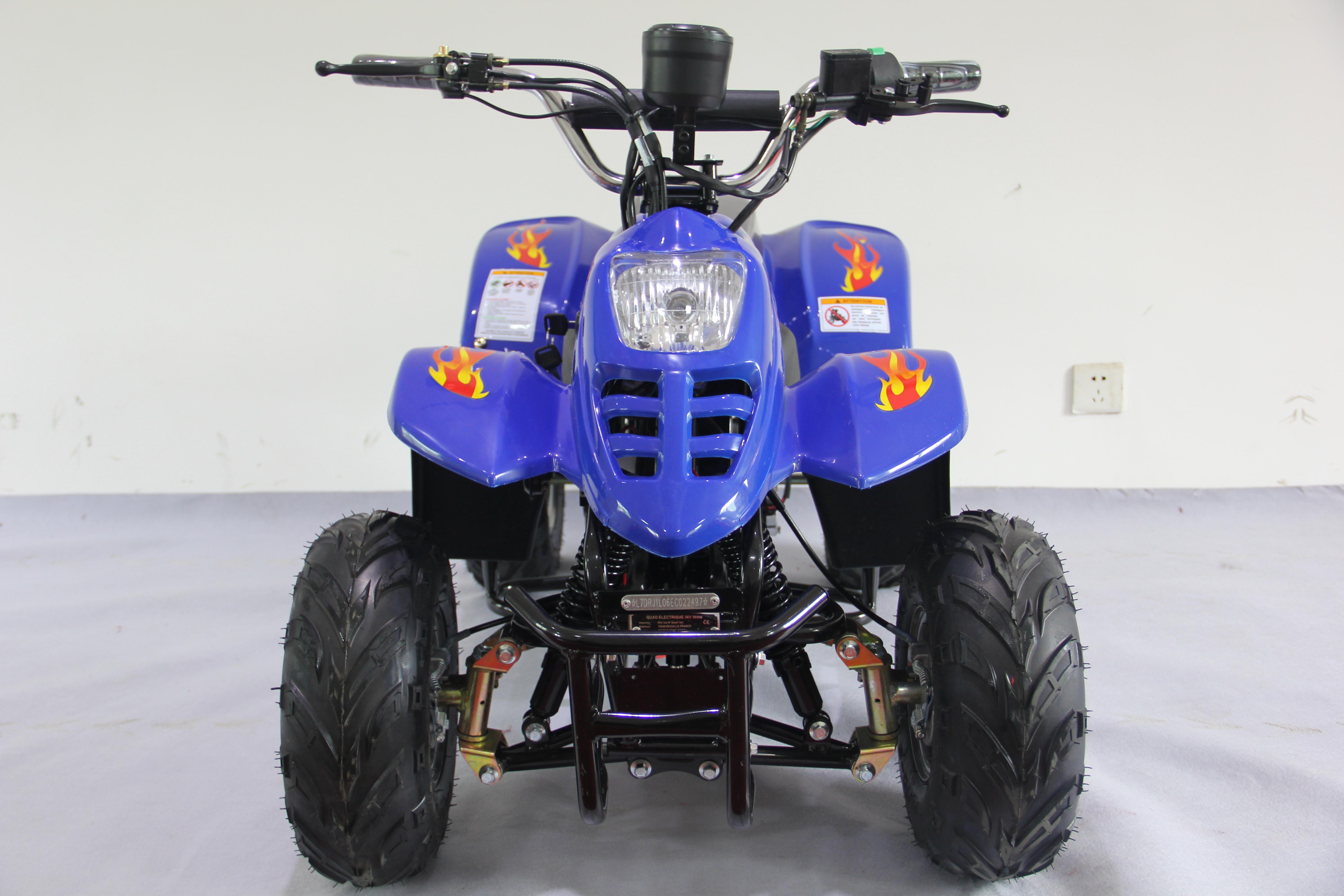 dinosaur electric quad